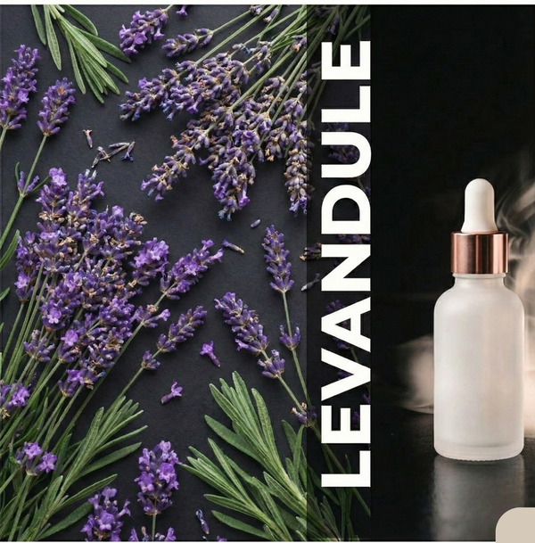 Vonná Esence | Levandule